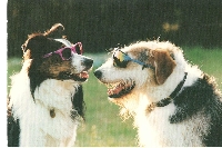 PH: Send 3 Postcards #4